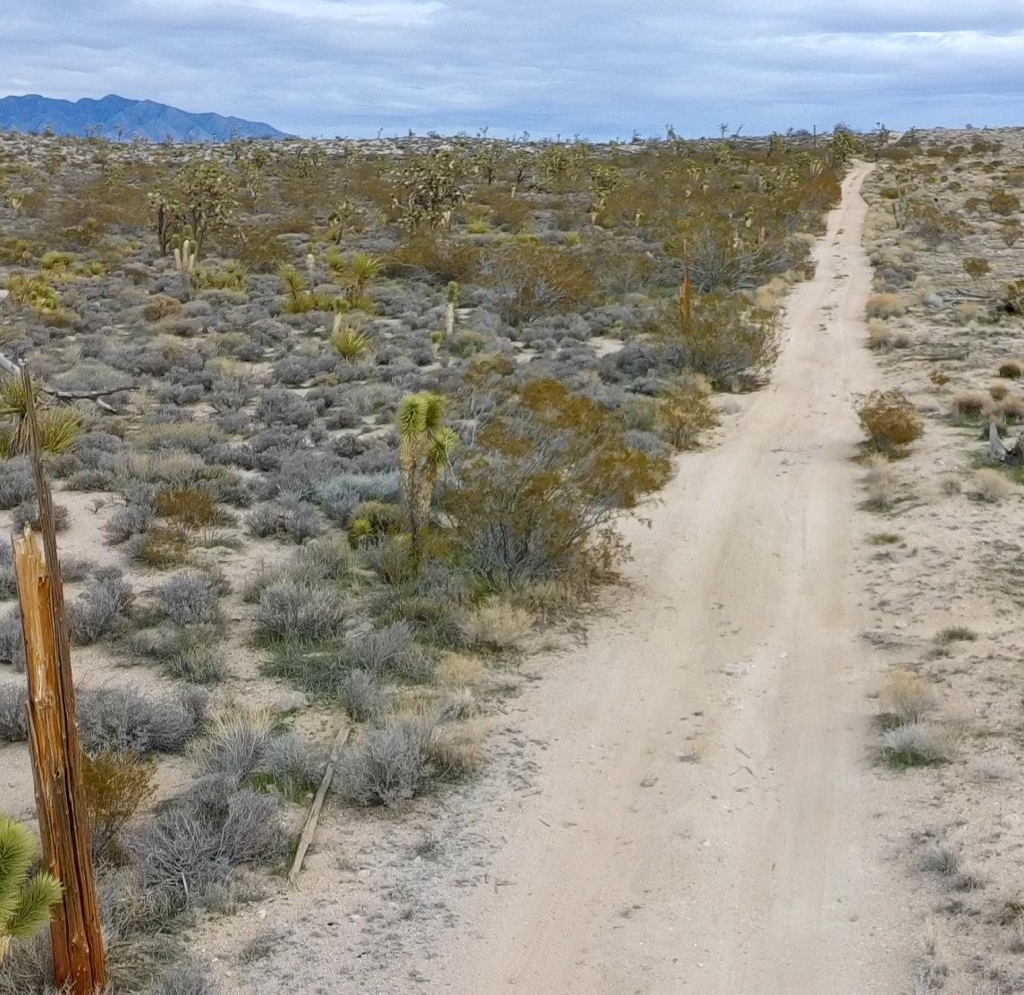 Telegraph Mine historic access road